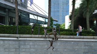 川に飛び込む子供たち