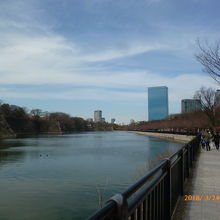 お濠の景色も素敵です。