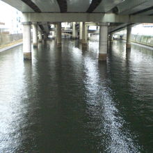 水運に活用されている日本橋川です。上を高速道路が走っています