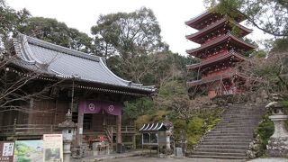 高知の名刹の一つで、五重塔の朱色が鮮やかでした。