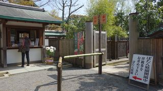 ぼたんの花が見ごろでした