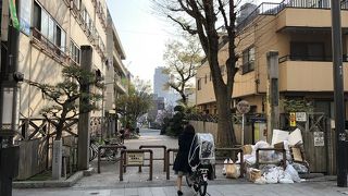 広々とした公園