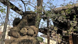 公園の横にポツリと