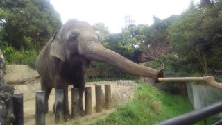 小さい動物園と遊園地