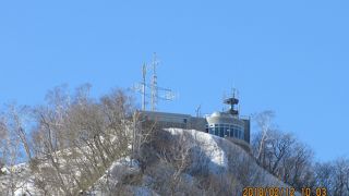 高台から漁港を見下ろす