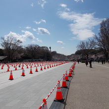 奥が桜並木です。