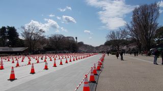 桜の名所の一つです。