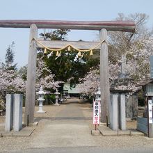 桜もキレイでした