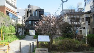 タワーマンション脇にある小ぢんまりした綺麗な公園です