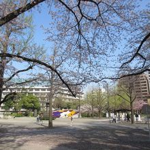 花壇のきれいな横網町公園
