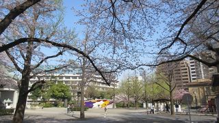 震災と戦災の記憶と復興を色濃く残す公園