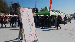 うえの　さくらフェスタ２０１８