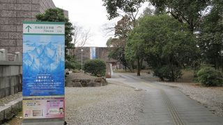 「精霊の守り人」展を開催していました。