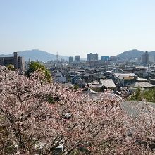 桜のバックに防府の街