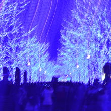 めちゃくちゃ幻想的で美しいです(^^)