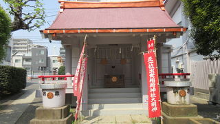 八重桜がきれいでした