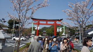 八幡宮に一番近い鳥居