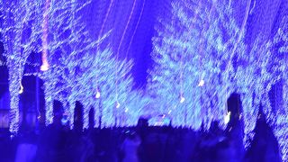 代々木公園の青の洞窟