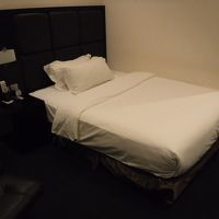 なかなかいい感じ