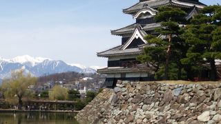春の訪れを迎える松本城