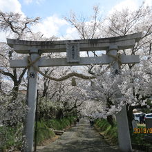 徳佐八幡宮