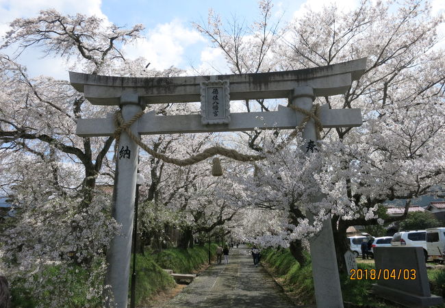 徳佐八幡宮