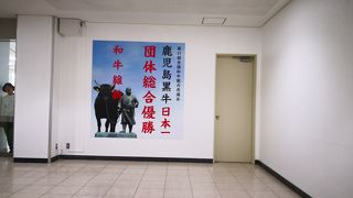 比較的大きい空港