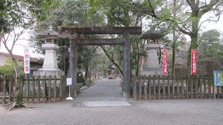 石の鳥居とその両脇にある石灯籠が目印