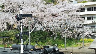 SLもあります。