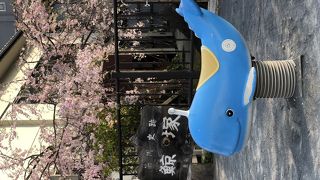 江戸時代のクジラのお墓