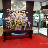 エントランスの飾っていた花が綺麗でした。