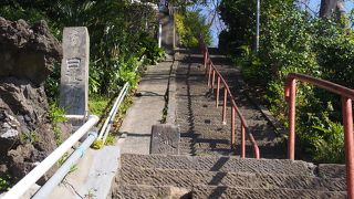 根岸森林公園への近道