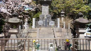 上野の山がふさわしいです。