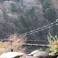 すぐ横につり橋があります