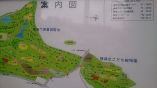 こんな墓地があるなんて知らなかった