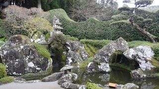 風情あるお庭見学