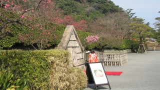 着物を着たかわいらしいお嬢さんらの記念撮影が行われていました。