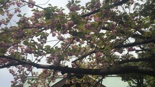 ステキな御朱印帳求めて