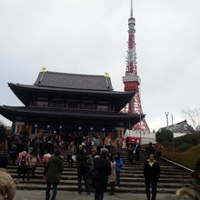 東京タワーとコラボ