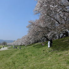 １.４ｋｍ続きます