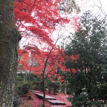 紅葉も見事です