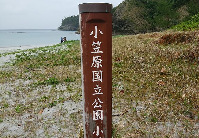 白い砂浜の綺麗なところです。