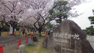 ヴェルニーさんが貢献