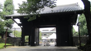 一見の価値はある