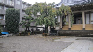 公園のような雰囲気もありました