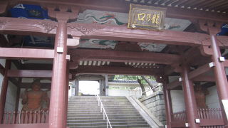 怖いくらいのすごいパワーを感じました