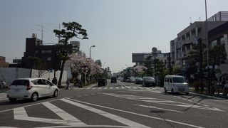 観光客でにぎわう通り