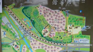 梅の花の季節に