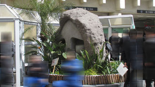 裏にも顔がありました。