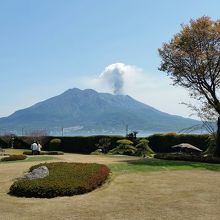 桜島が見える